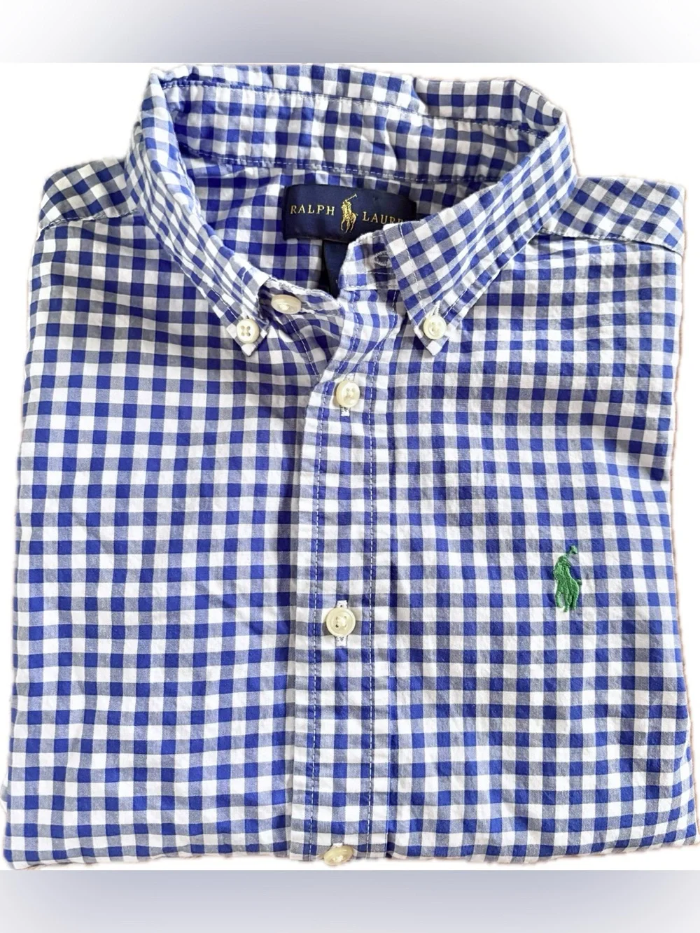 Ralph Lauren Blue and White Gingham Button-Down Shirt with Green Pony